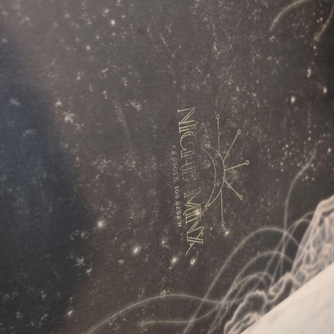 スノーボード NICHE ニッチ 143cm SALOMON ビンディングセット