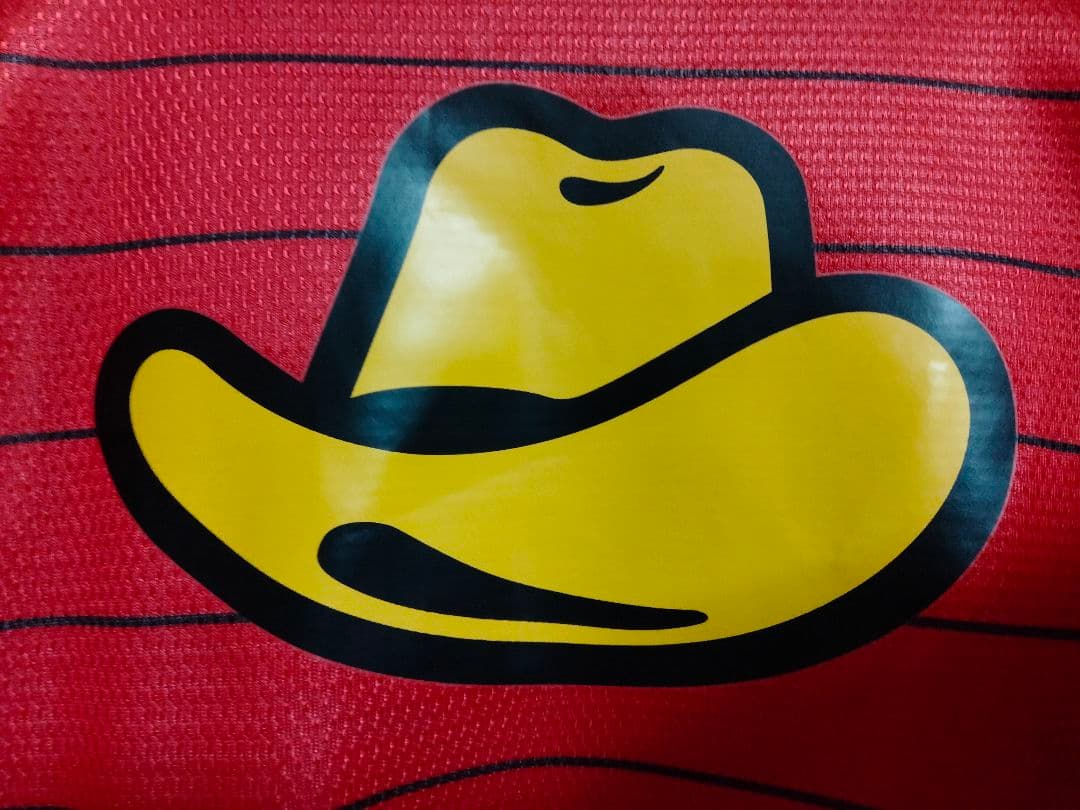 ナイキ 鹿島アントラーズ ユニフォーム #12 2013ホームモデル 紙タグ付き