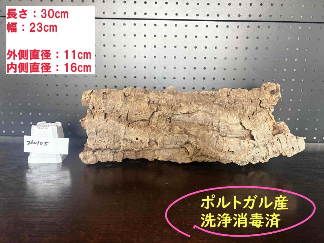 260105 ポルトガル産 キャノンコルク コルク樹皮 コルク板　バージンコルク