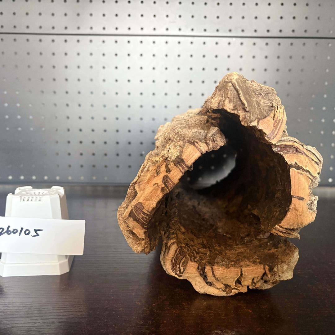 260105 ポルトガル産 キャノンコルク コルク樹皮 コルク板　バージンコルク