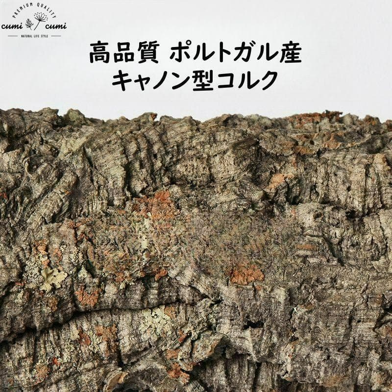 260105 ポルトガル産 キャノンコルク コルク樹皮 コルク板　バージンコルク