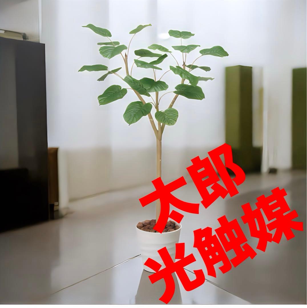 光触媒　人工観葉植物　ウォールグリーン　フェイクグリーン　ウンベラータ1.8p