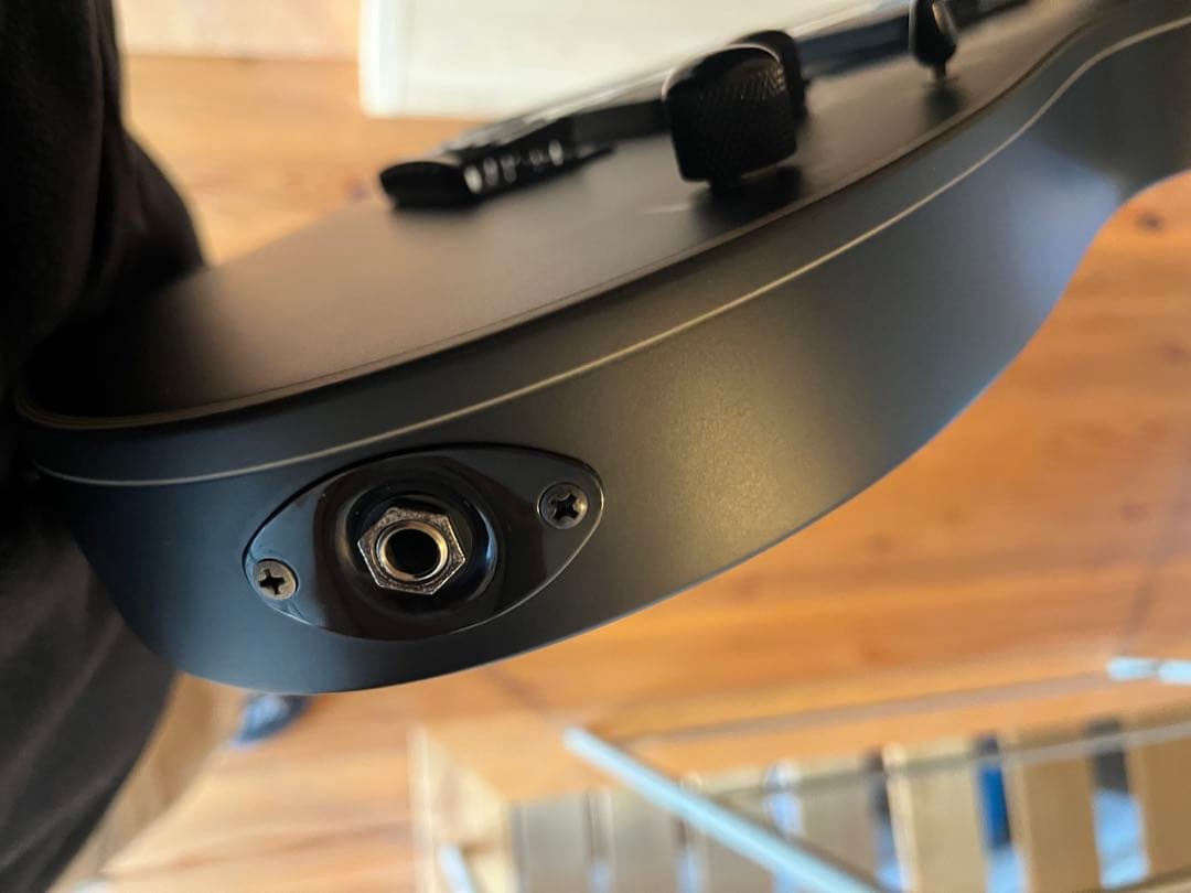 【Cherry】Ibanez RG421EX-BKF