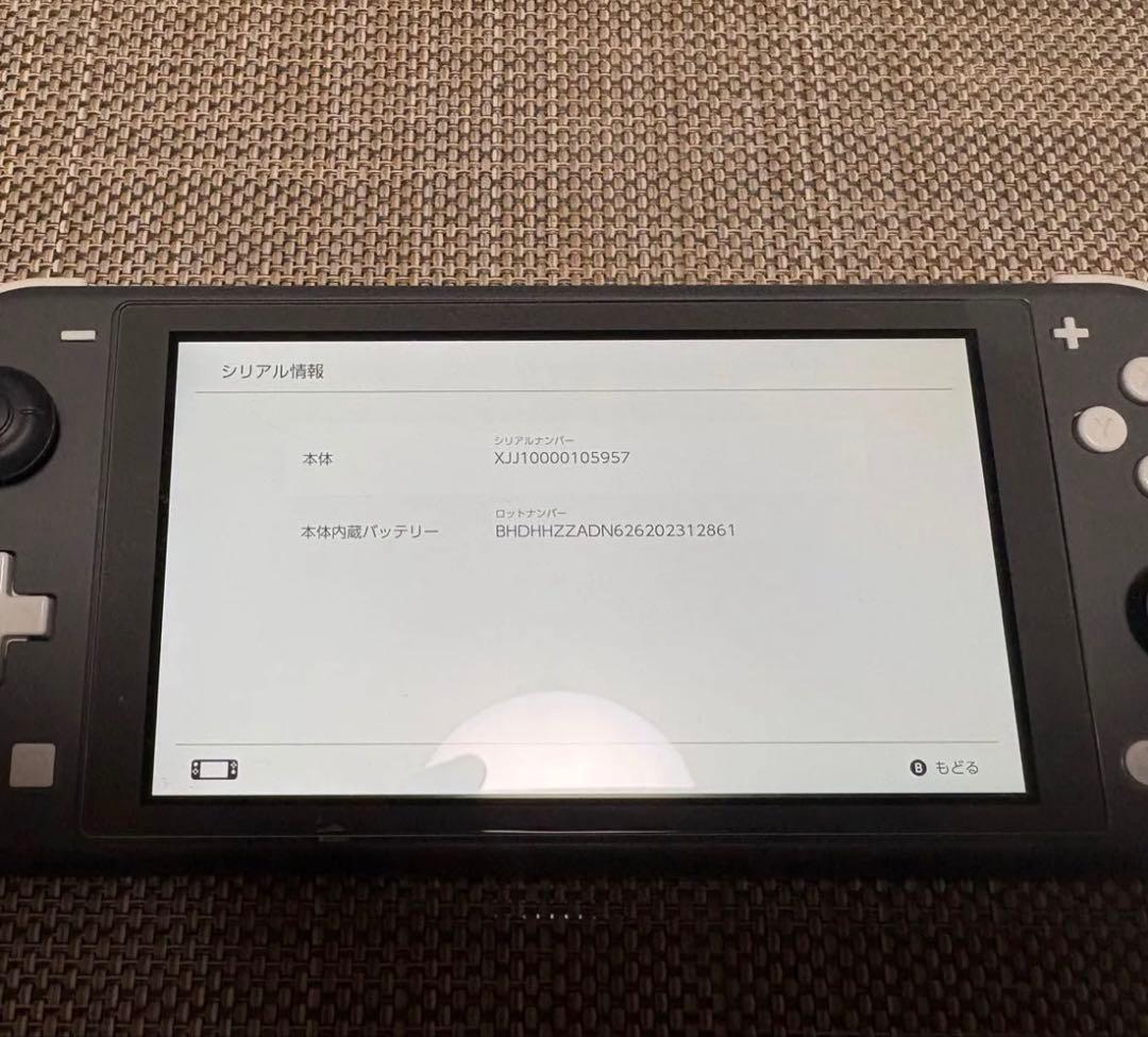 Nintendo Switch Lite 本体 グレー スティック不良