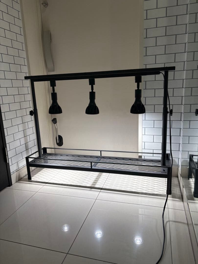 チッピング塗装　ミニ植物棚　卓上植物棚　アガベ　シーザー　ハデス　パキプス