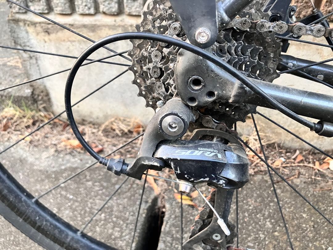 TREK 「トレック」 DOMANE AL3 DISK 2021 ロード　52