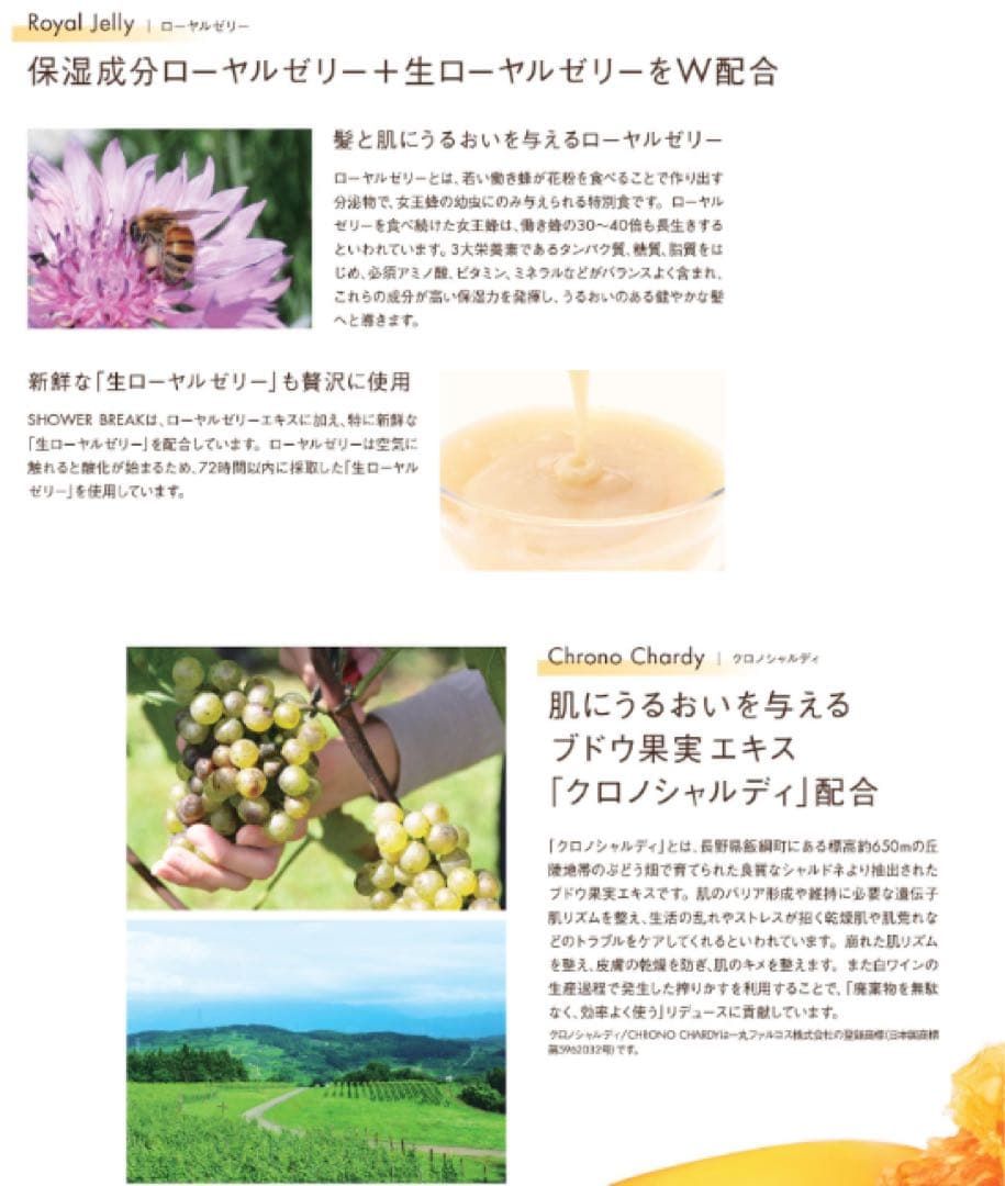 【新品】【正規品】POLA シャワーブレイク ボディソープ 10Lポーラ