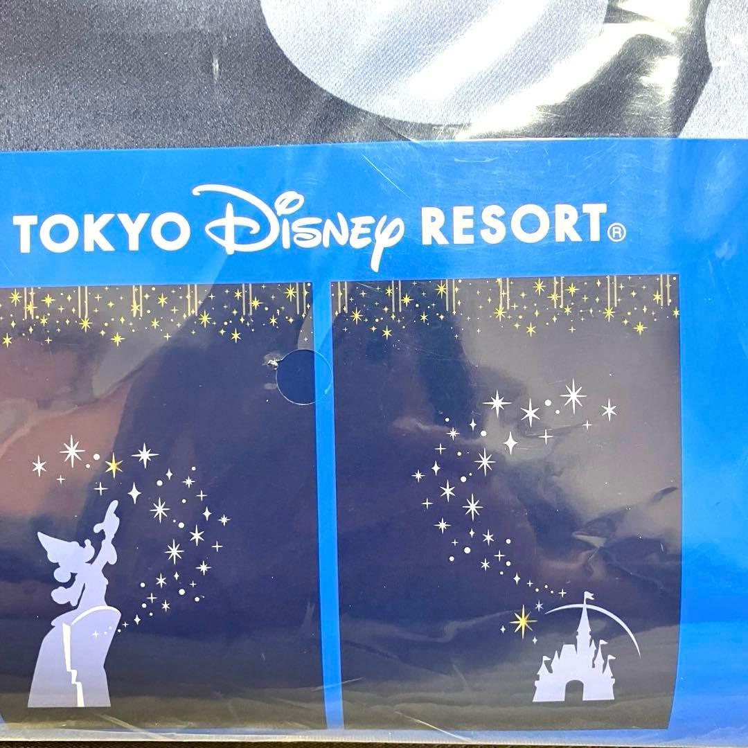 東京ディズニーリゾート カーテン ファンタジア　ミッキー 二枚