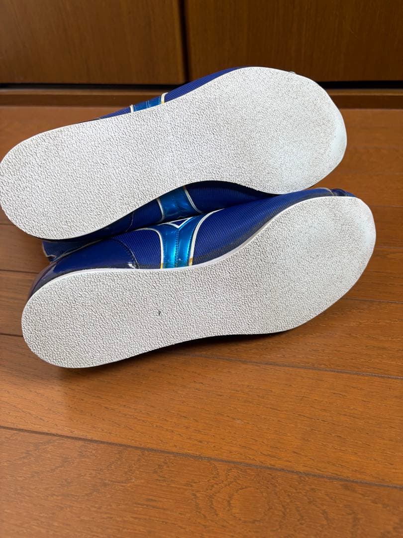 ミズノ ボクシングシューズ 27.0