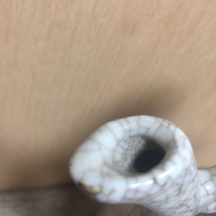 中国 骨董 水注