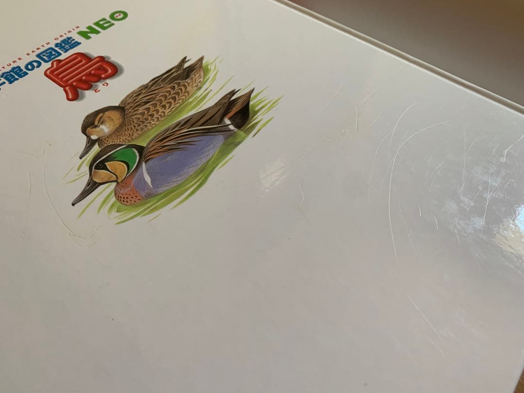 美品　小学館の図鑑neo 18冊セット