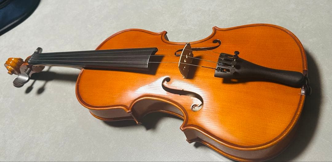 Carlo giordano バイオリン VS-0-44 4/4サイズ
