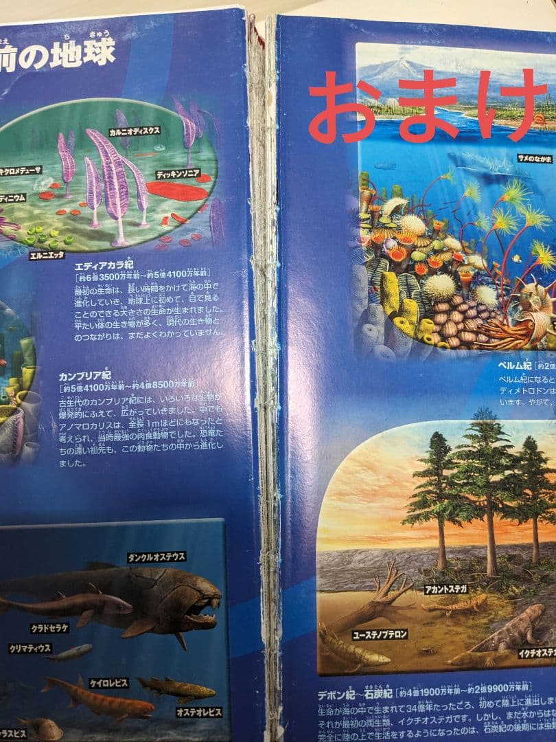 図鑑 14冊　おまけ1冊