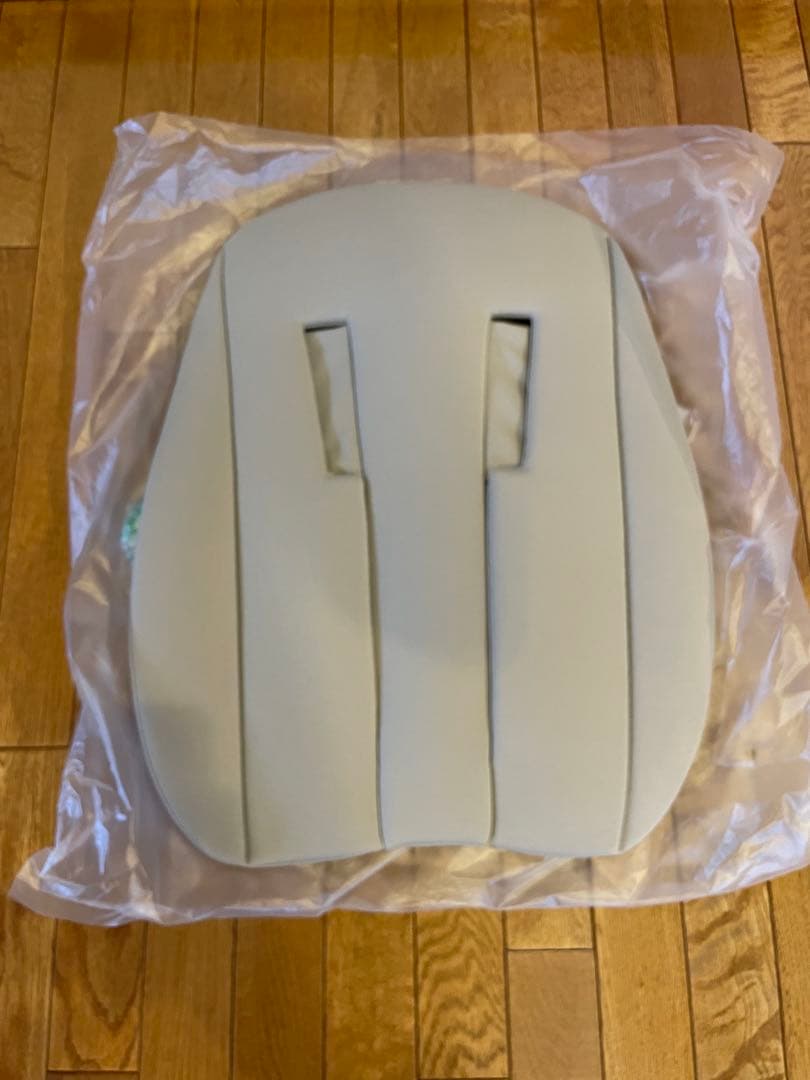 【限定モデル】 2025年型 サイベックス cybex メリオカーボン