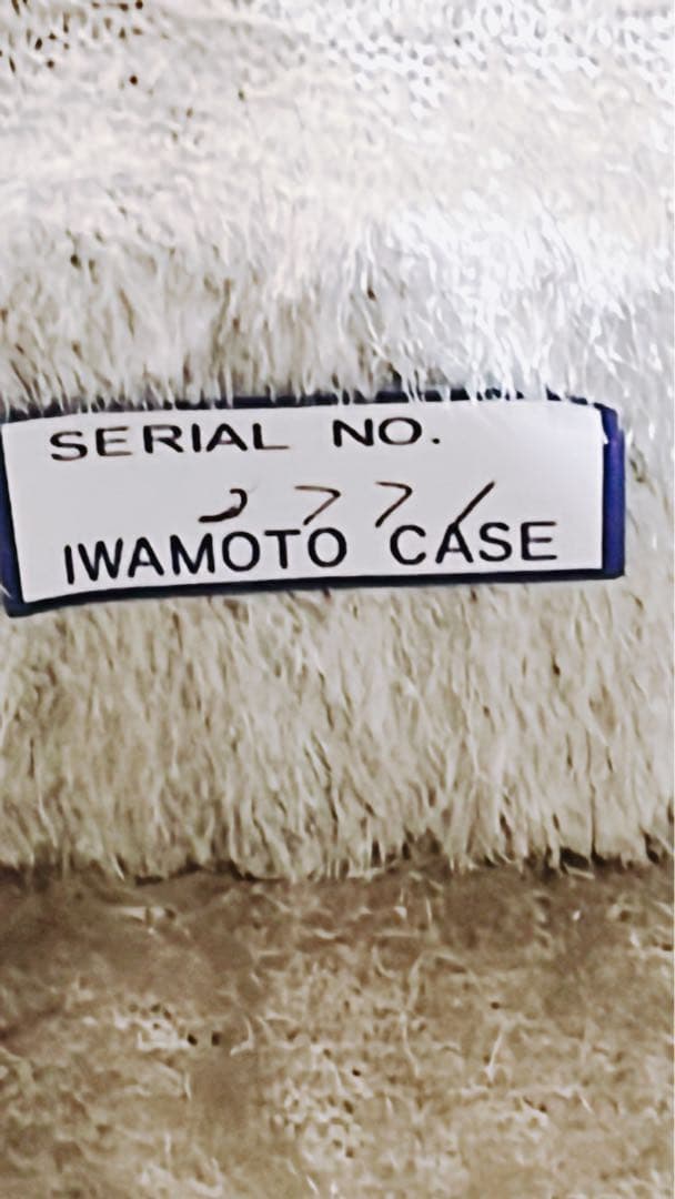 【美品 メンテ済】落合大悟郎 マンドラ D-2 最高級 岩本ケース付