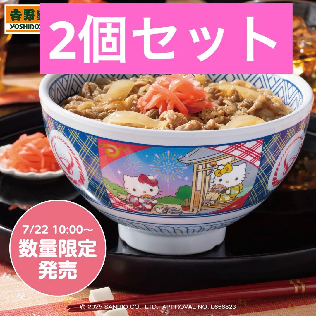 2個セット吉野家はろうきてぃ おうちで吉野家2025 オリジナルメラミンどんぶり