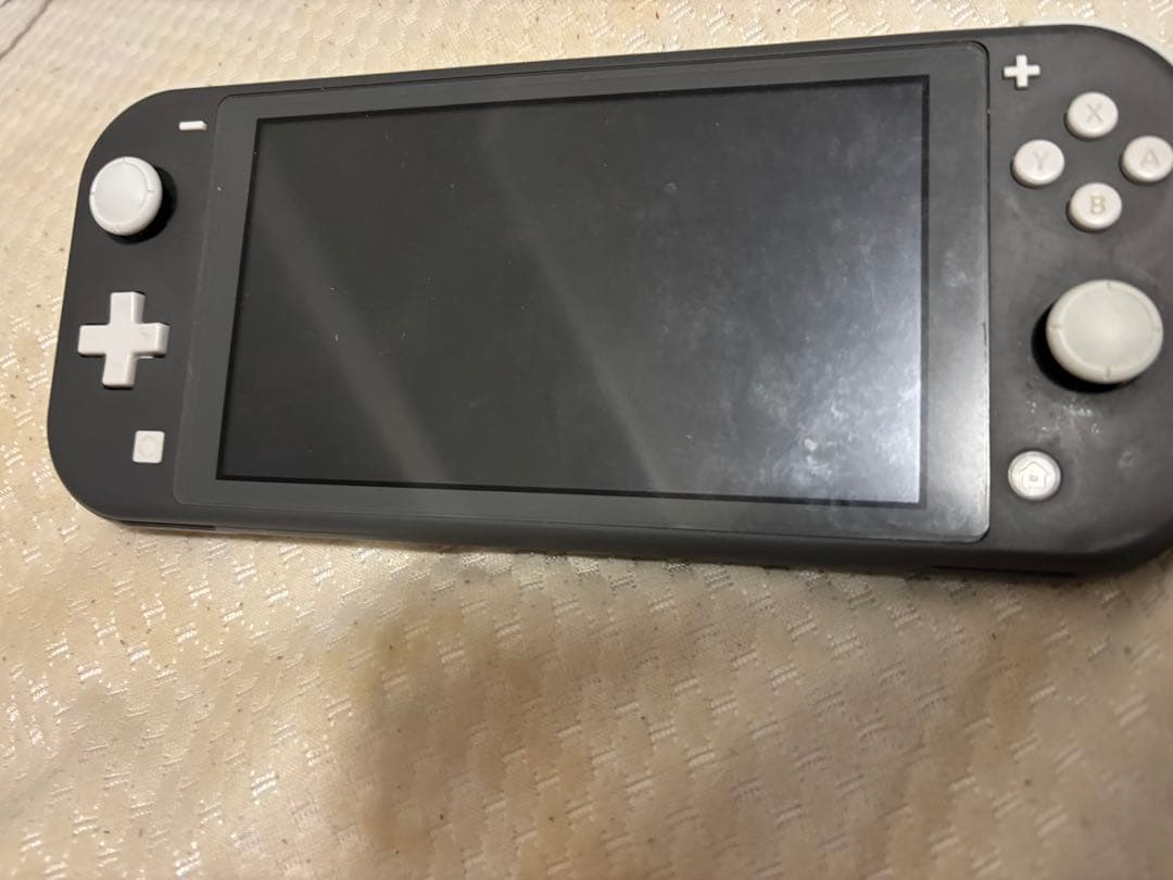 Nintendo Switch Lite グレー カバーつき