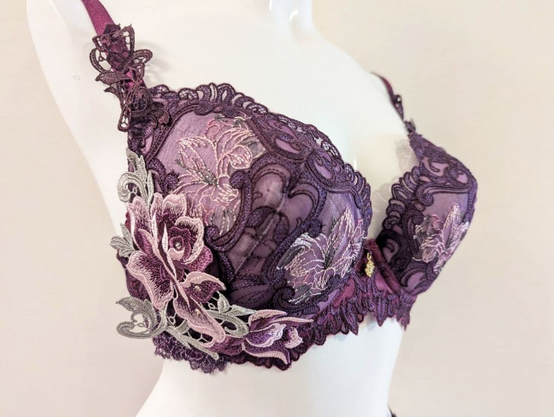 サルート82「ジョジョの奇妙な冒険」E75+ショーツL 定価23980円 WI