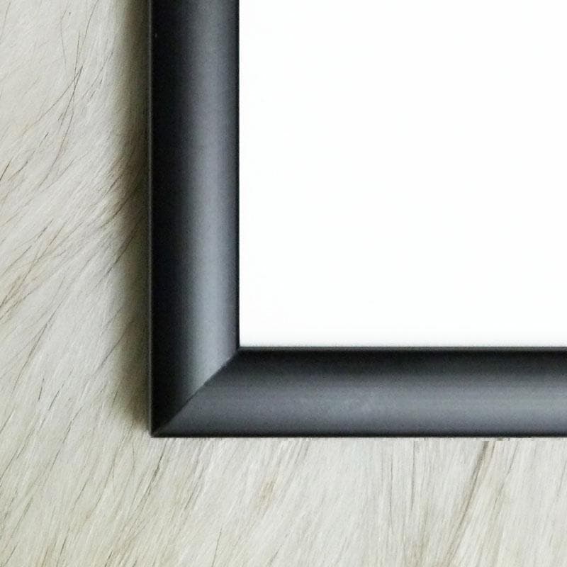 額装済/Bauhaus Architektur（バウハウス）/ポスター