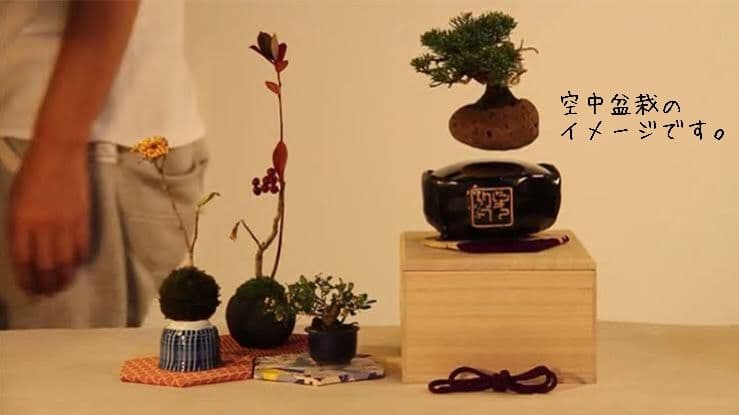 空中盆栽 air bonsai 空気の装飾 磁気浮上 磁力台座 空飛ぶ盆栽 浮く