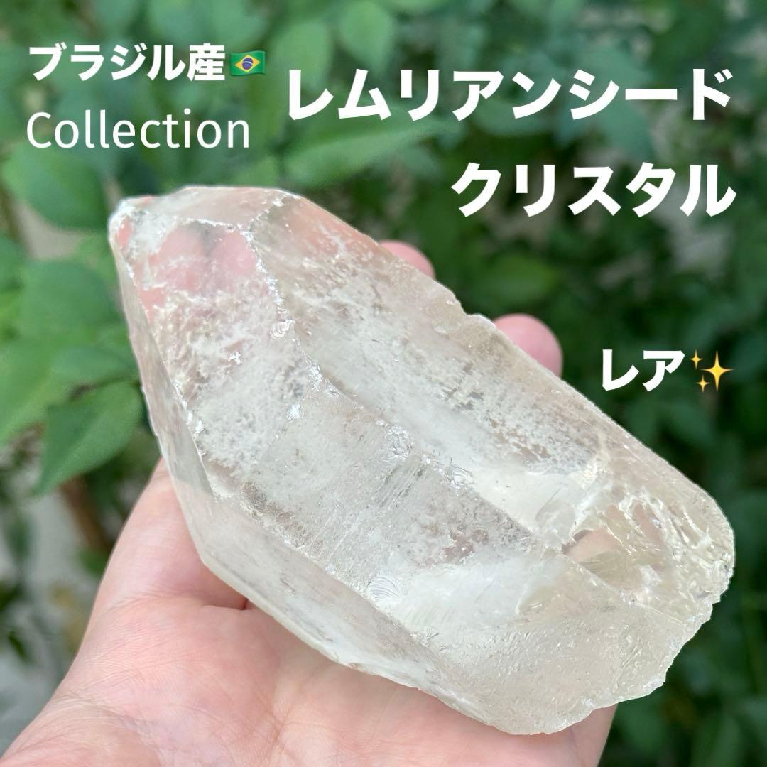 mad kmt様 リクエスト 2点 まとめ商品