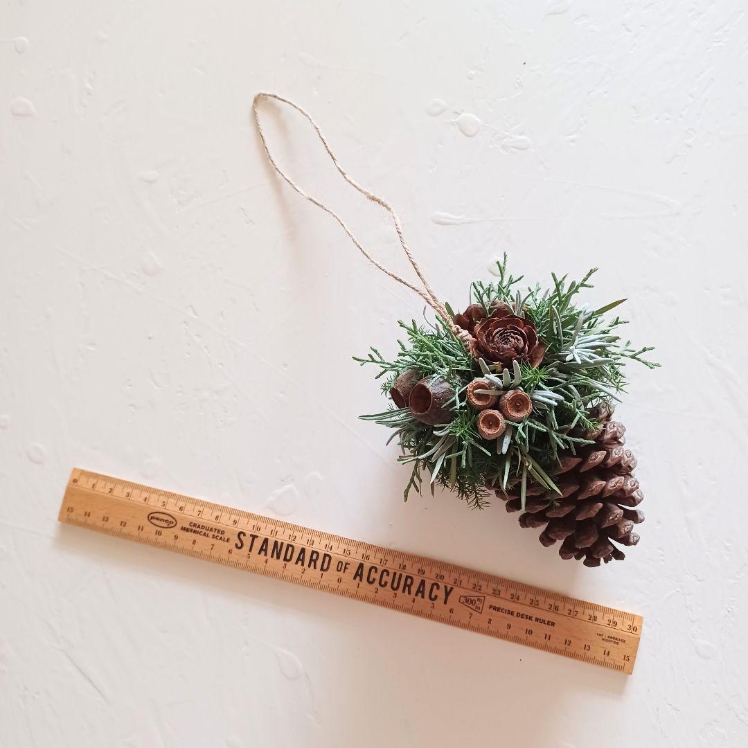 魔女の棲む森 ～木の実と詩～ ドライフラワー リース オーナメント