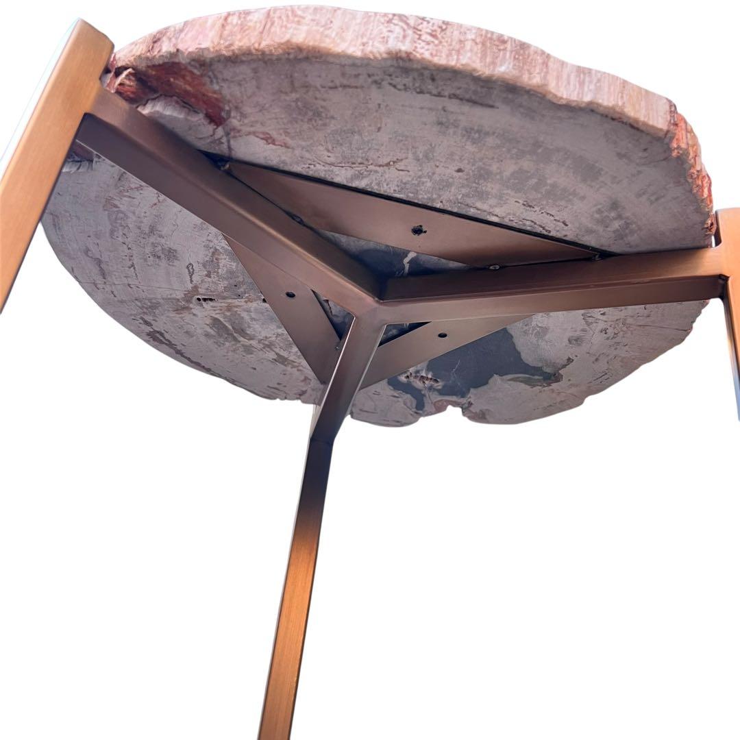 KAJA カジャ 木化石 サイドテーブル (H55)