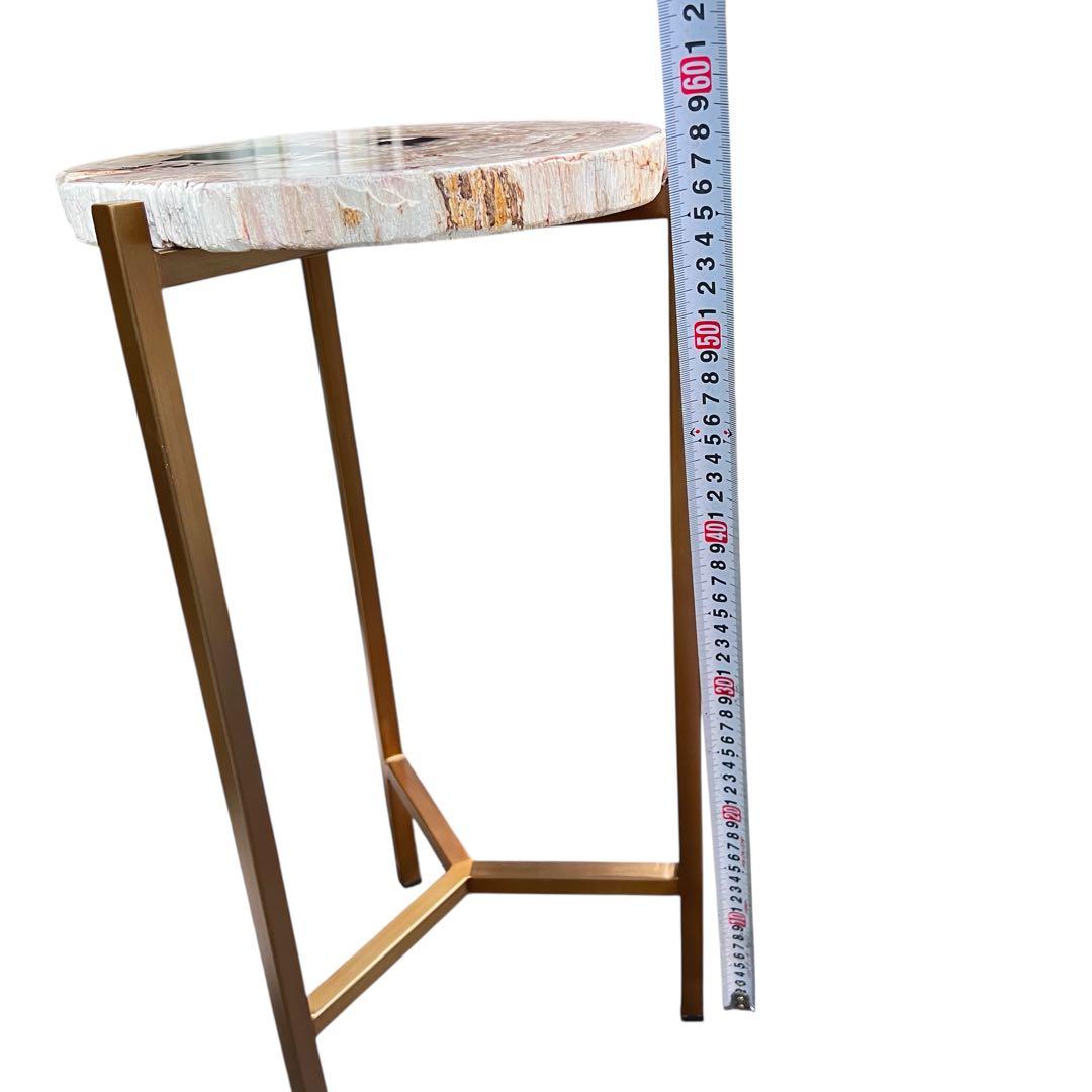 KAJA カジャ 木化石 サイドテーブル (H55)