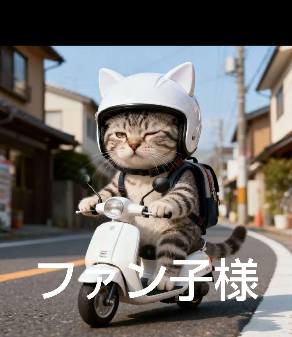 オーダーページ　ハンカチ　285 ねこちゃん柄1/17