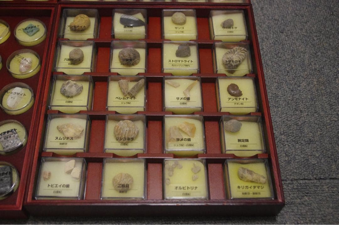 Deagostini 鉱物標本　コレクション