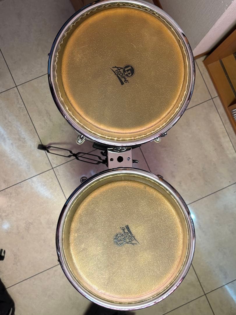 コンガ10インチ　LP Aspire サンタナモデル