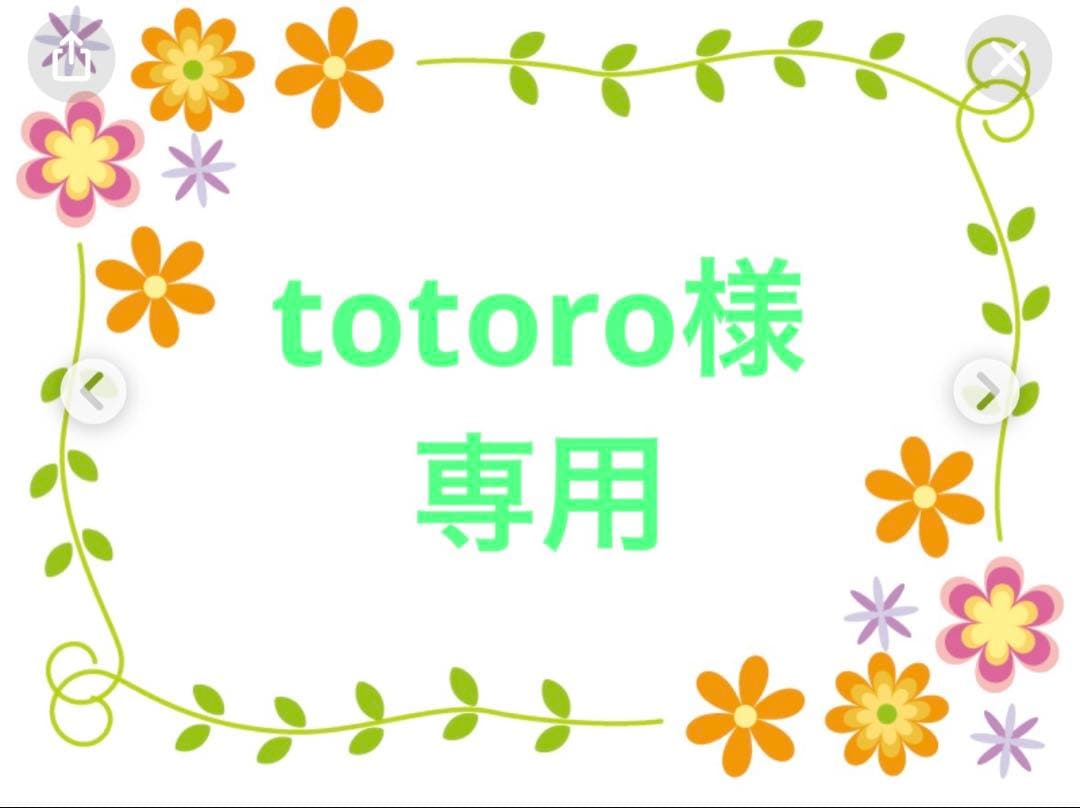totoro様•*¨*•.¸♬︎専用ページ
