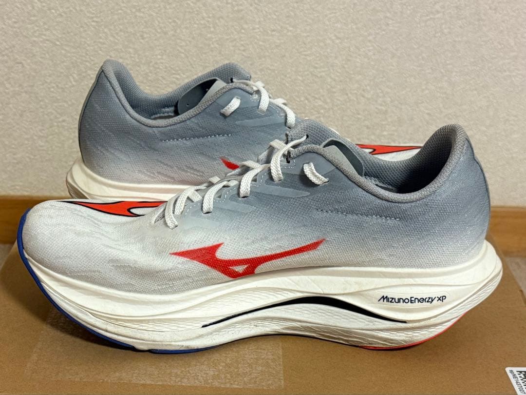 MIZUNO／WAVE REBELLION FLASH 3 （28.5cm）