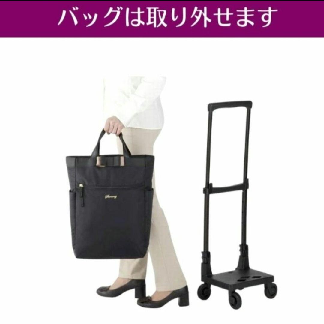 ✨美品✨SWANY スワニー　ルバンドIII　キャスターストッパー付　ブラック