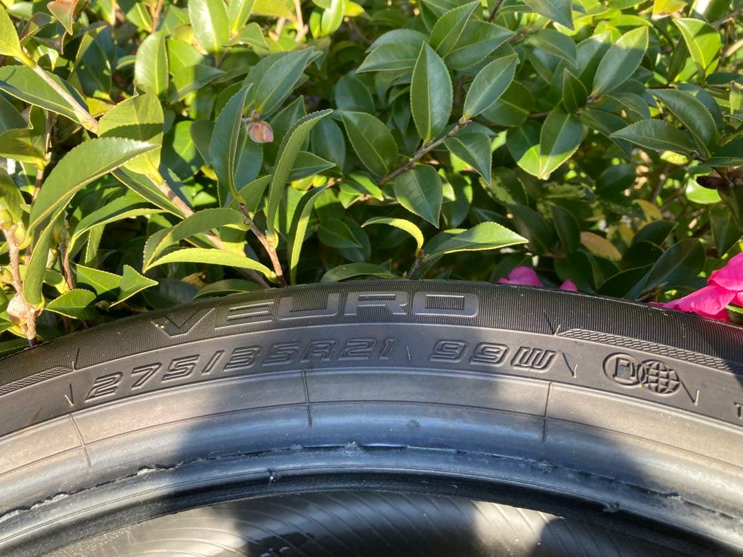 DUNLOP VEURO 21インチ