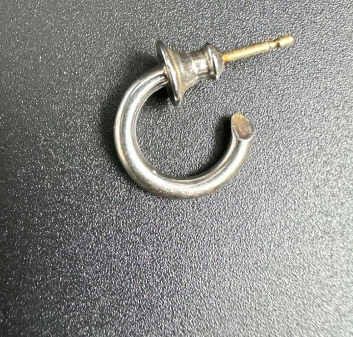 careering placebo 片耳 シルバー　K18