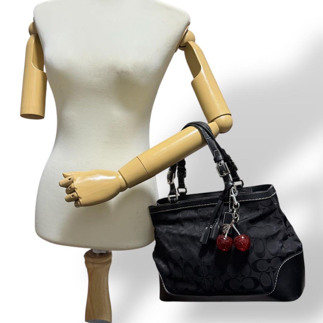 バッグ Coach Y2K Signature Leather Tote Bag