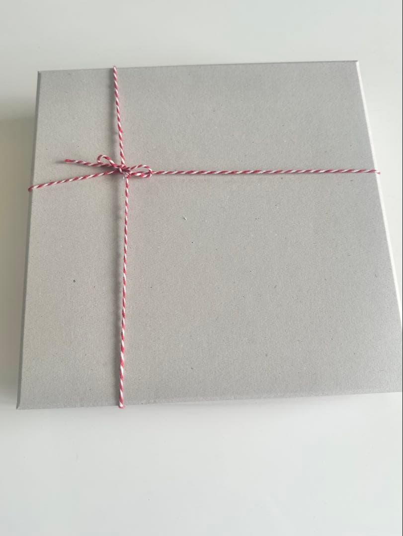 辻和美さん　大皿プレート　factory zoomer てんてん