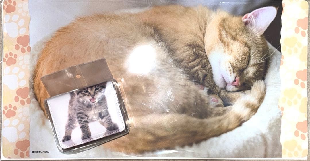 トレカアイテムくじ　猫これくしょん　2点セット　ラストワン　B賞