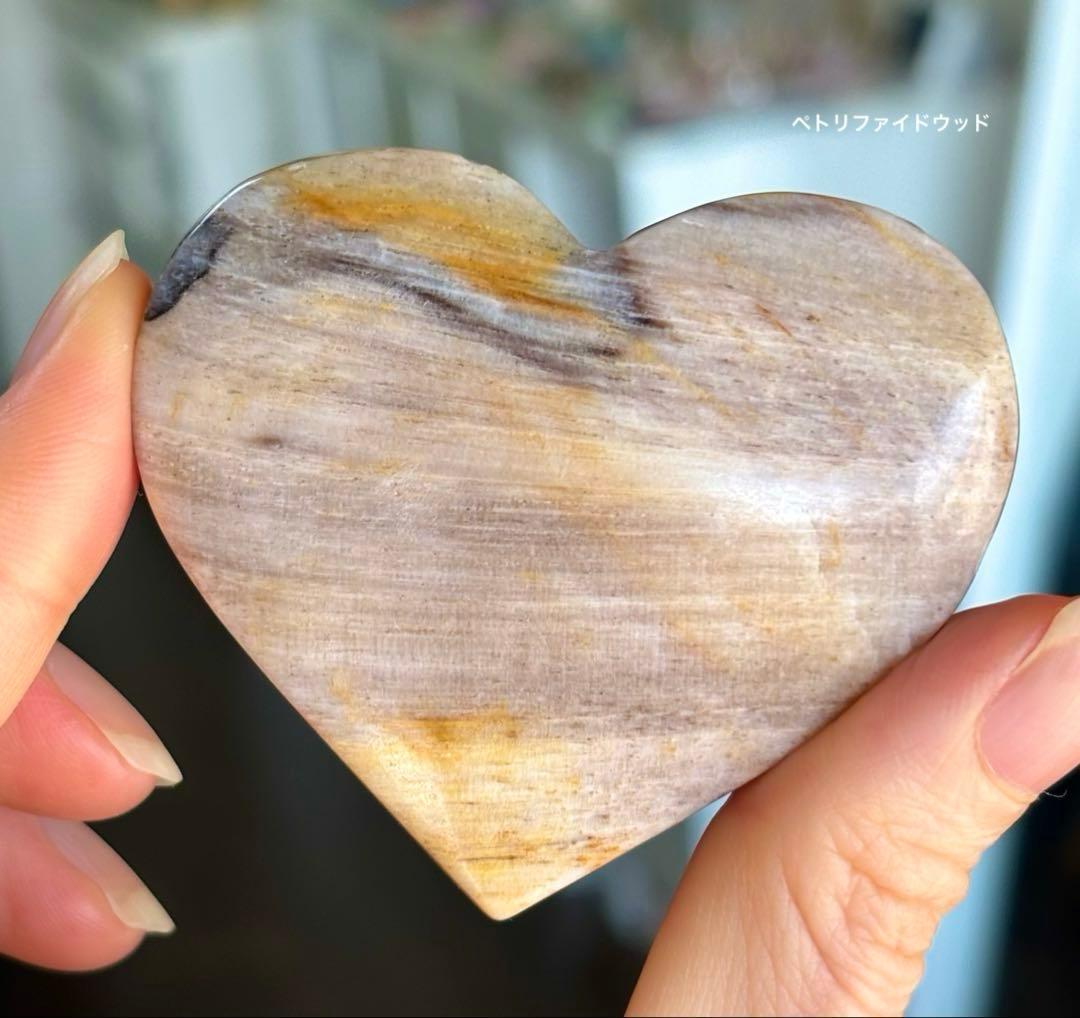 あ〜きゃん♬様　高品質　ペトリファイドウッド　大きめハート　握り石　珪化木