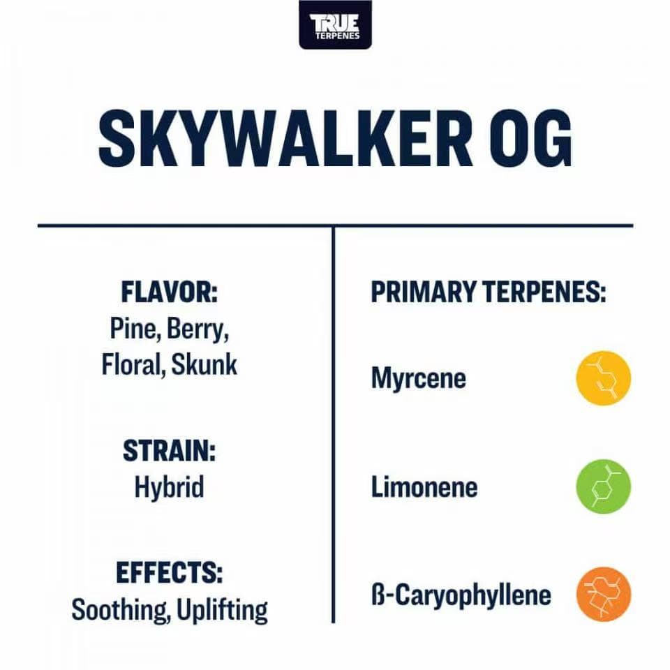 TRUE テルペン 香料 CBD CBN CBG 10ml スカイウォーカー