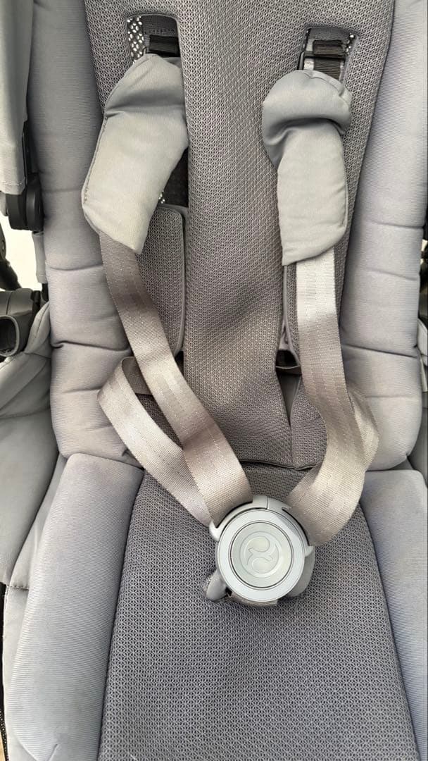 サイベックス　メリオ　2022年購入