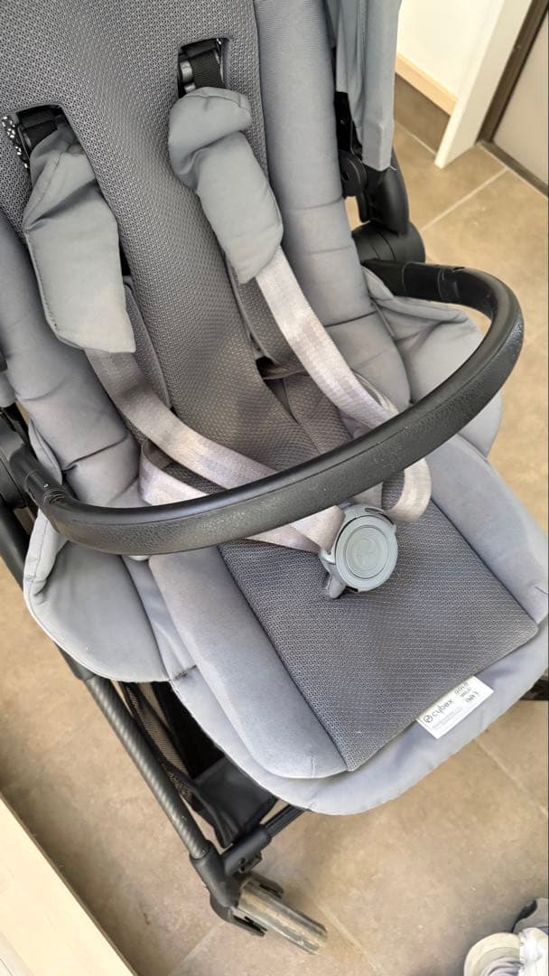 サイベックス　メリオ　2022年購入