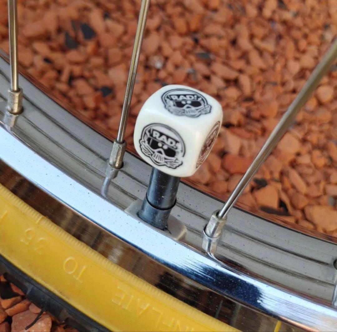 ⭕️★ Robinson Racing SST BMX 20\" (希少)