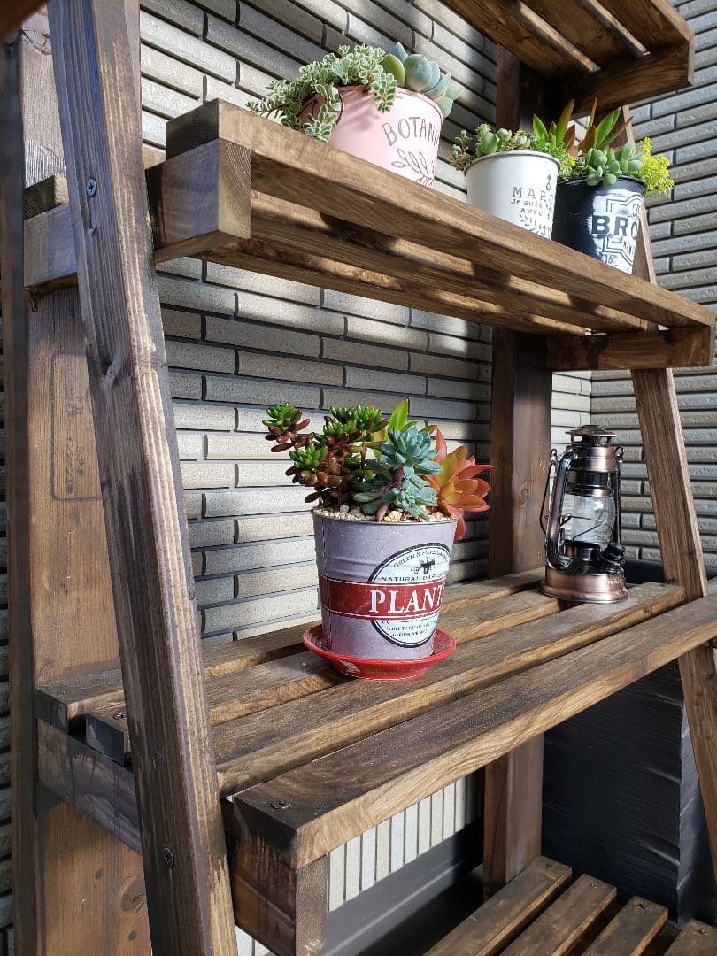 高さ170幅75奥行35  ガーデンシェルフ　ウォールナット　棚　観葉植物