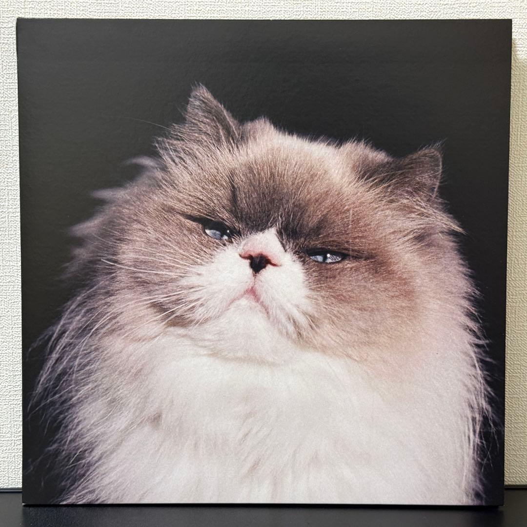 LP カネコアヤノ 燦々 重量盤 レコード アナログ盤