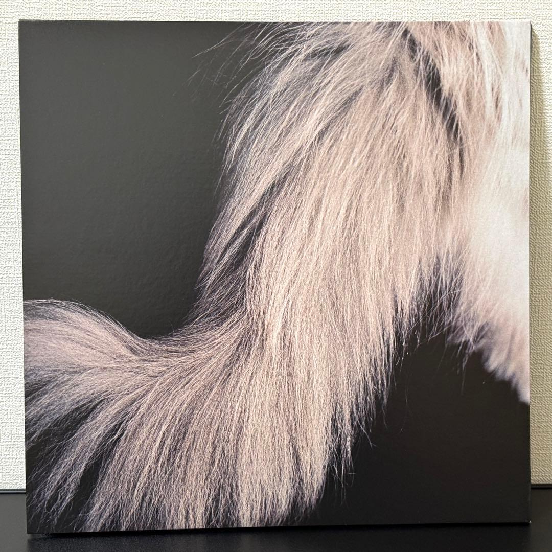 LP カネコアヤノ 燦々 重量盤 レコード アナログ盤