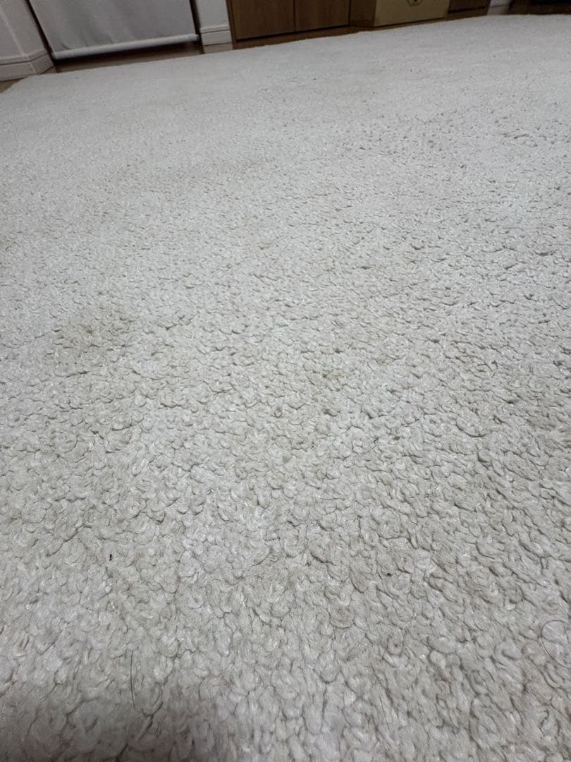 IKEA STOENSE ストエンセ ラグ　オフホワイト　　200x300 cm