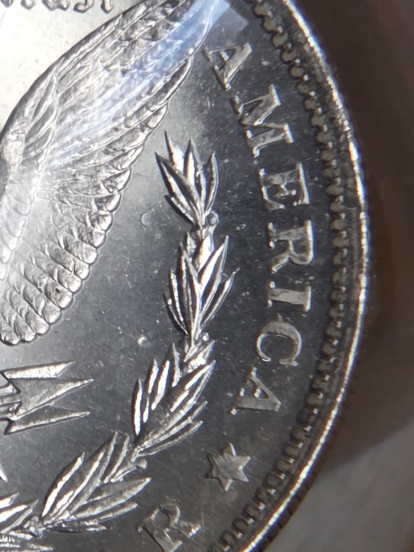 専用(お土産品)モルガンダラー銀貨入り　置き物