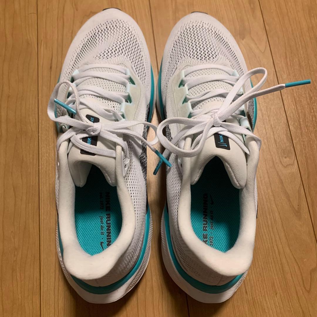 新品ナイキNIKEズームペガサス29cm